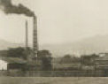 公司成立後的清水工廠（約1918-19年）