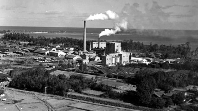 In 1945, TOMOEGAWA absorbed Shingu Mokuzai Pulp Corporation and established Shingu Works in Shingu city, Wakayama Prefecture, establishing a long-awaited integrated production system from pulp to paper.