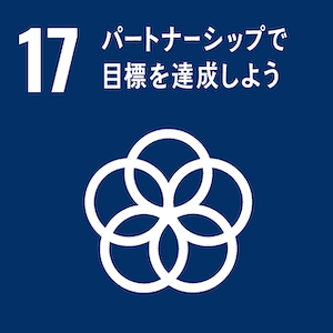 17.パートナーシップで目標を達成しよう