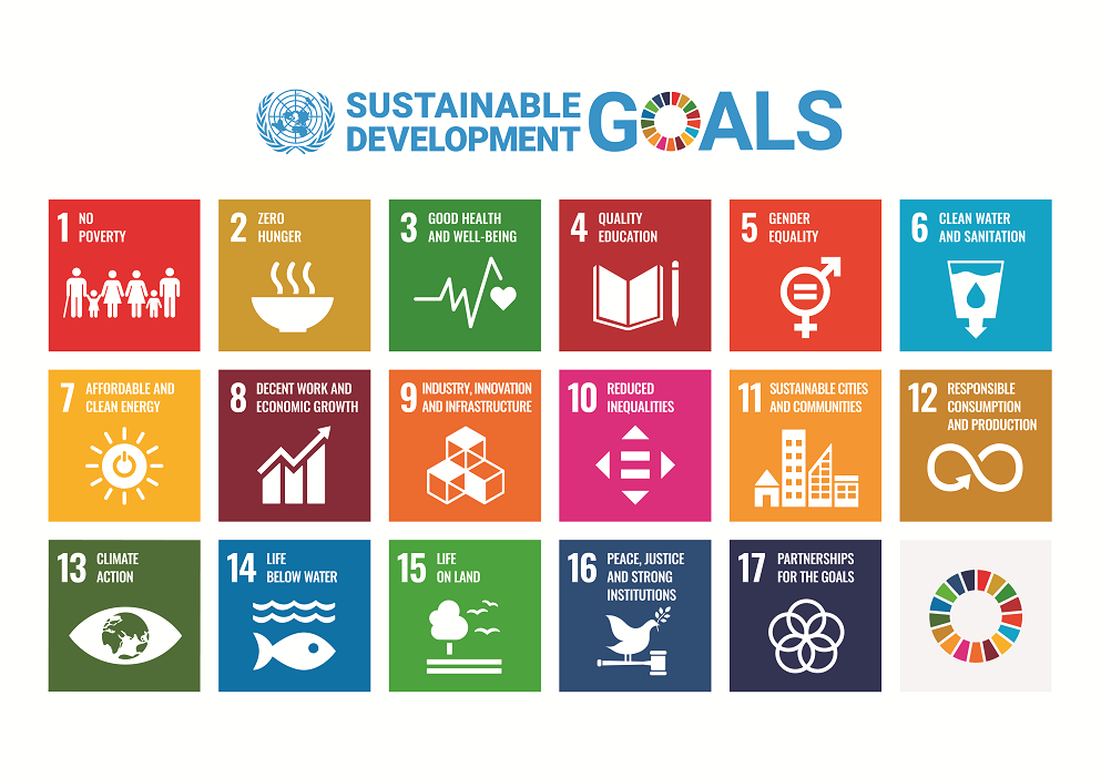 SDG's image