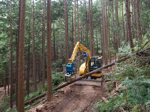 社有林での間伐作業