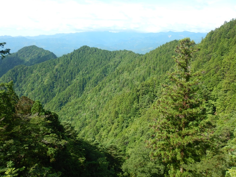 篠尾山(和歌山県新宮市熊野川町)