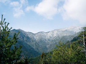篠尾山