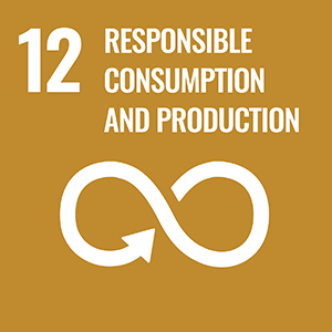 12.RESPONSIBLE CONSUMPTION & PRODUCTION