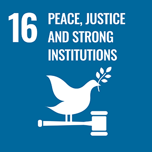 16.PEACE, JUSTICE AND STRONG INSTITUTIONS