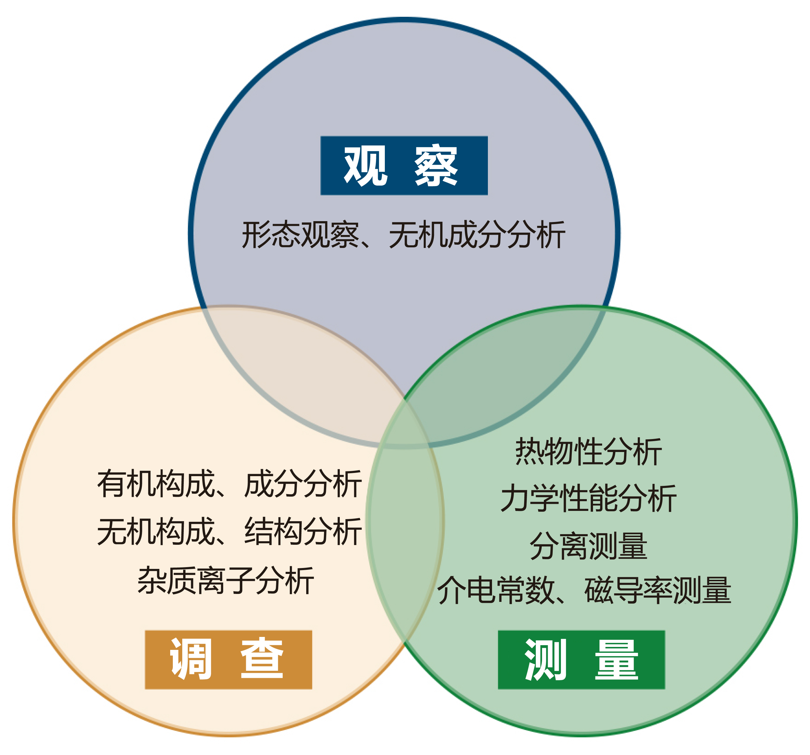 主要評価項目