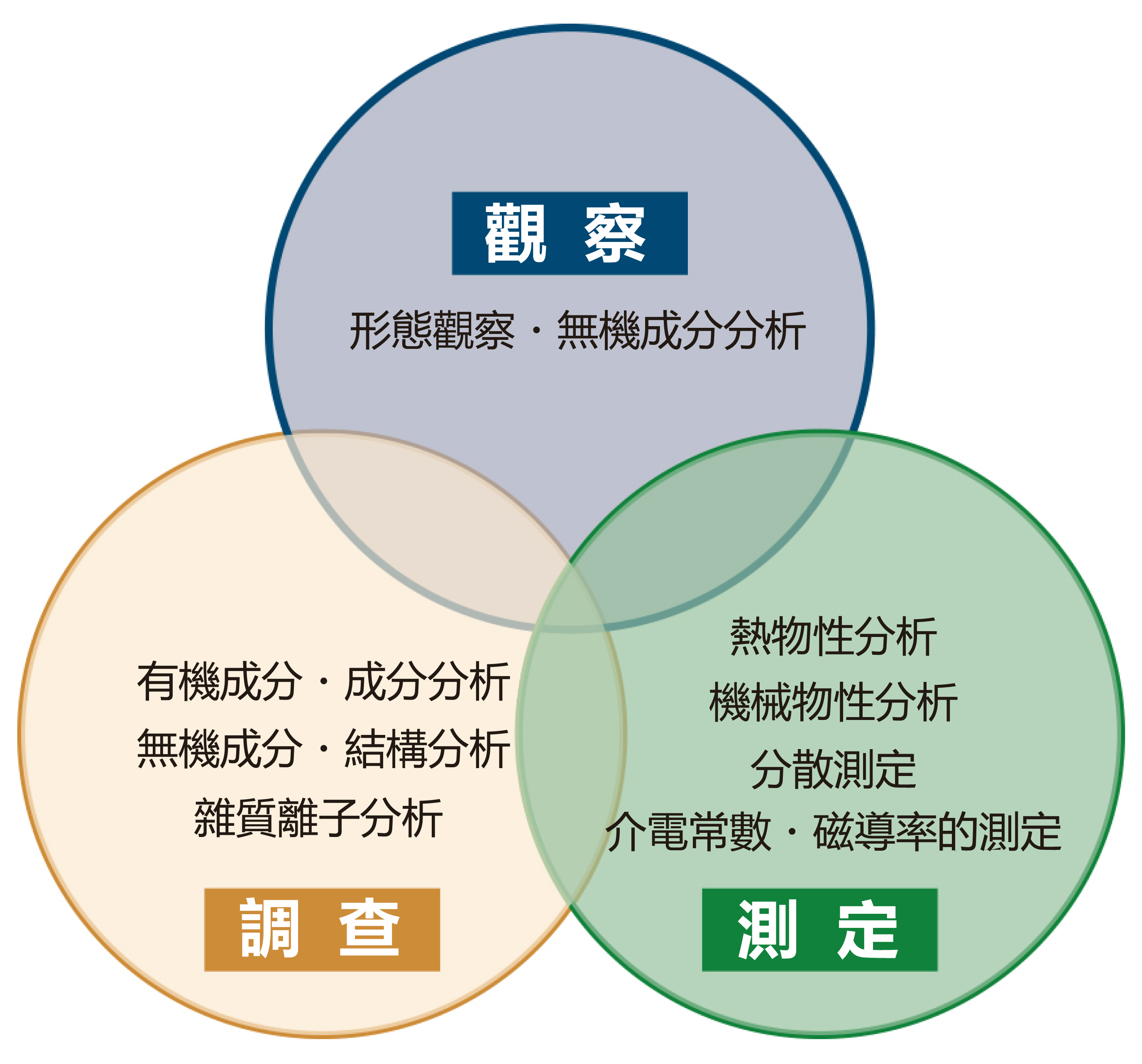 主要評価項目