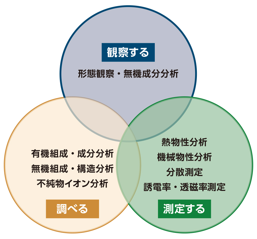 主要評価項目